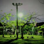 ​この画像は、沖縄の夜、静まり返った無人の公園を描写しています。中央にそびえるユーティリティポールに取り付けられた複数の投光器のうち、中段の強力なスポットライトが、鮮やかな緑色の葉を持つ二本のユーカリのような木と、その下のベンチ、そしてグラウンドを照らし出しています。右側にはブランコセットがたたずみ、背景には夜の街のシルエットと遠くの建物の貯水タンクが見えます。記事で触れられている、夕方から夜にかけての静寂と、冷え込んだ夜の雰囲気を視覚的に強調する一枚です。